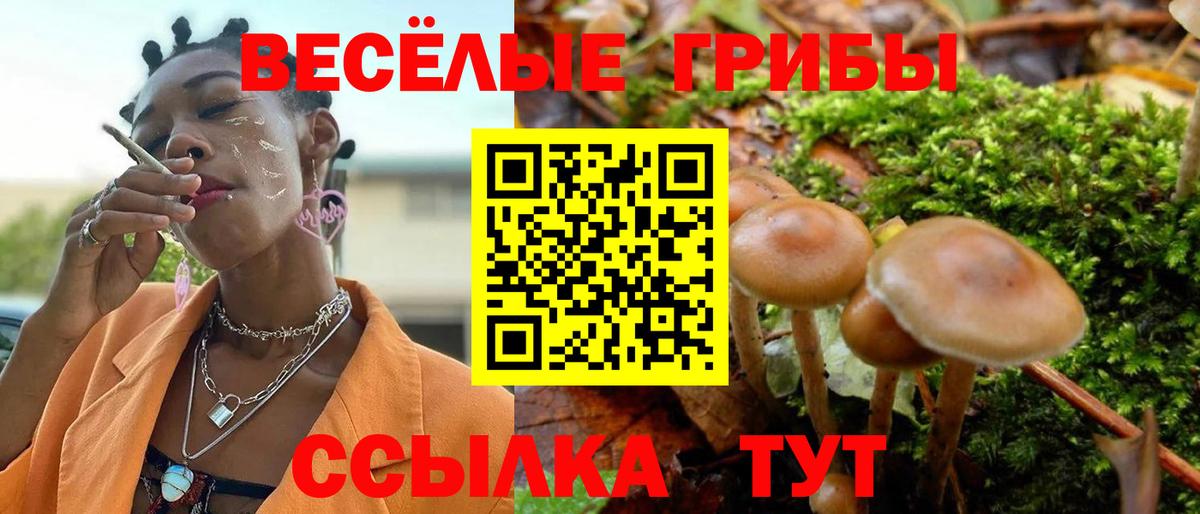 Галлюциногенные грибы Cubensis  Галлюциногенные грибы прущие грибы  Вход с VPN  Туймазы 
