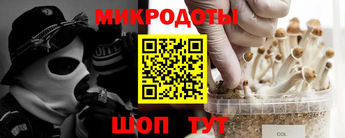 Псилоцибиновые грибы Magic Shrooms Туймазы